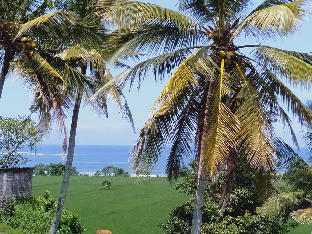 Medewi Beach View Villa Jembrana  Luaran gambar